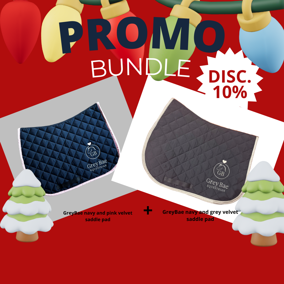 GreyBae Christmas bundle